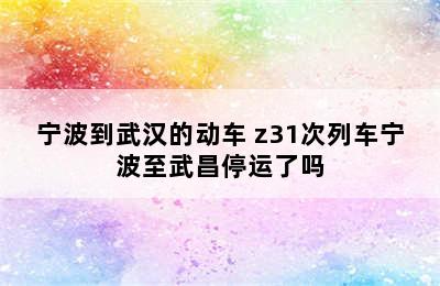 宁波到武汉的动车 z31次列车宁波至武昌停运了吗